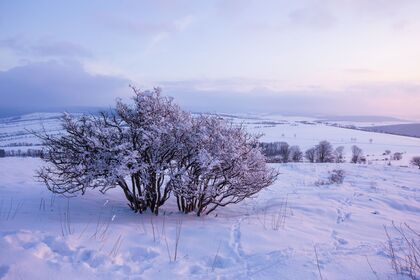 Winterurlaub im Schnee