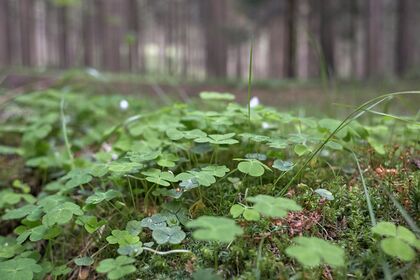 Winterschnäppchen im Erzgebirge